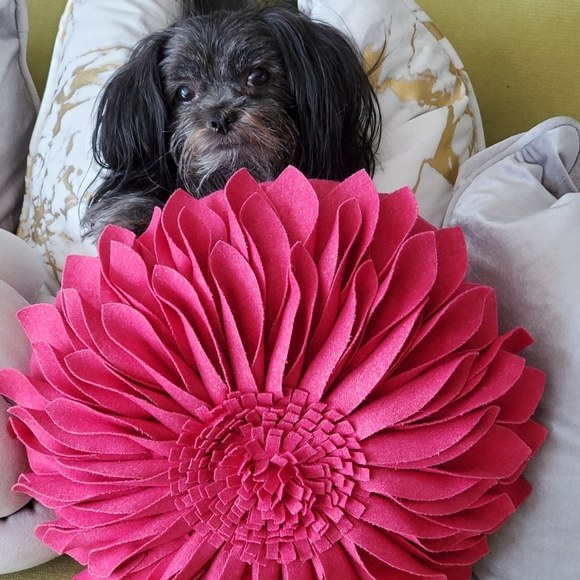 ⚜ Meet ⚜ your Posher, Bren ⚜ Posh Ambassador ⚜ - Picture 10 of 16